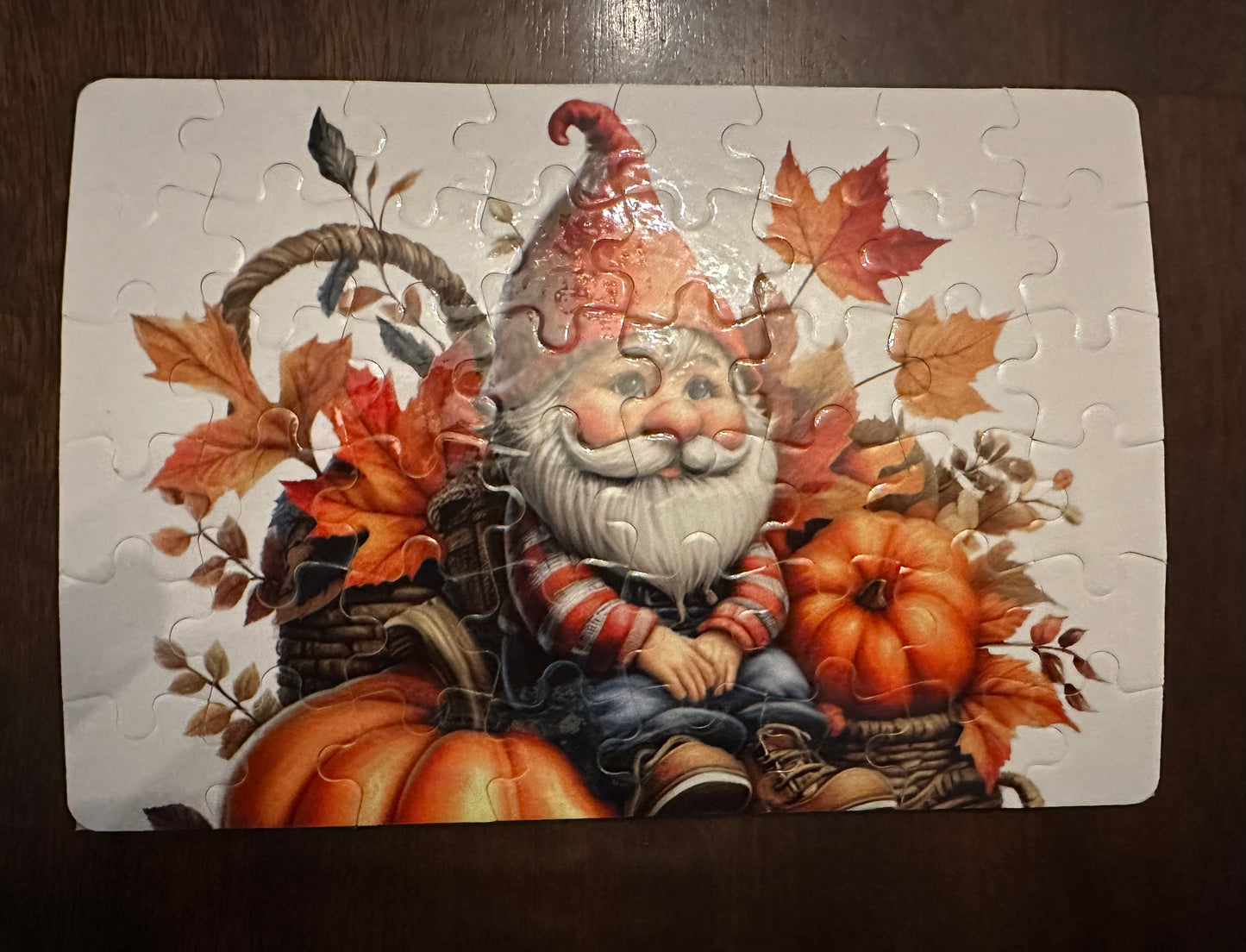 Fall Gnome Puzzle